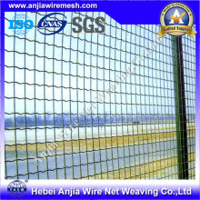 Clôture de maille métallique revêtue de poudre / revêtement en PVC avec (CE et SGS)